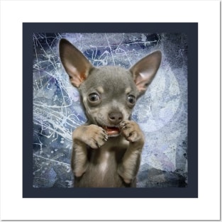 Cheeky Chihuahua Funny Face art design Posters and Art